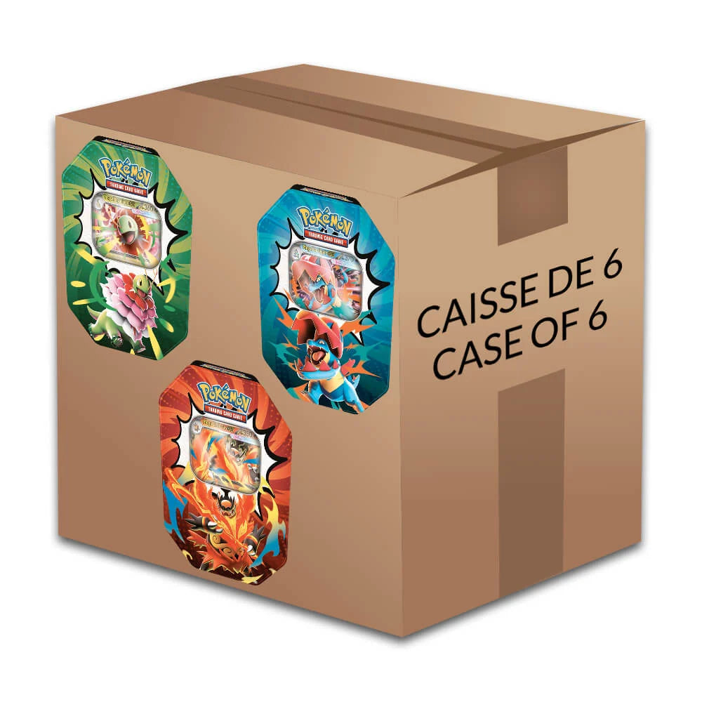 Pokémon TCG: ME2.5 - Ascended Heroes Tins Factory Sealed Case (2 Of Each)